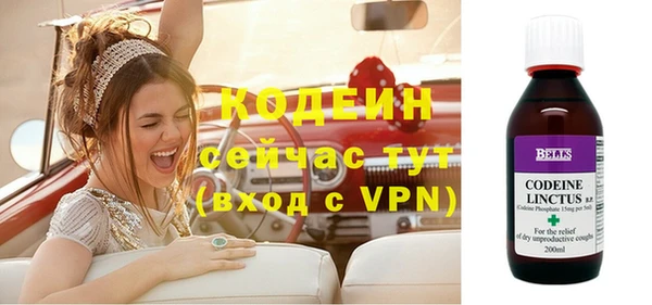 ГАЛЛЮЦИНОГЕННЫЕ ГРИБЫ Абаза