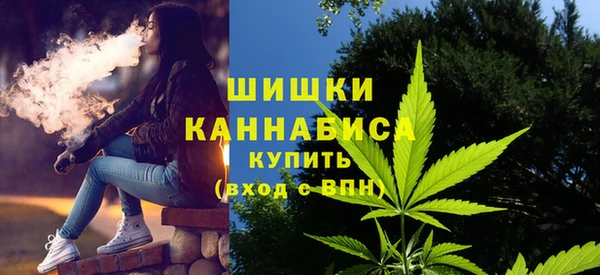 ГАЛЛЮЦИНОГЕННЫЕ ГРИБЫ Абаза