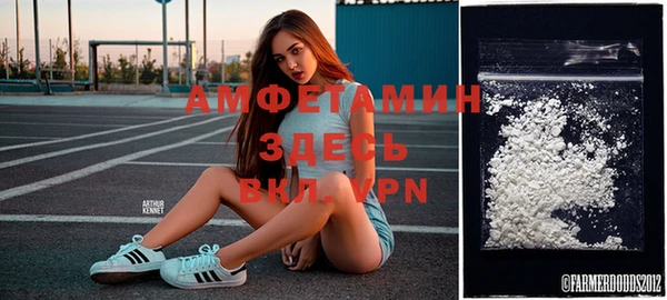 амф Алексин