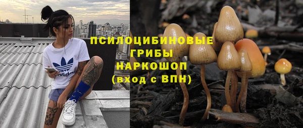 ГАЛЛЮЦИНОГЕННЫЕ ГРИБЫ Абаза