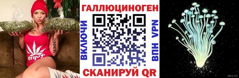 МЕГА рабочий сайт  сколько стоит  Брянск  Псилоцибиновые грибы Magic Shrooms 