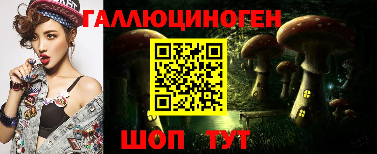 Галлюциногенные грибы GOLDEN TEACHER  Псилоцибиновые грибы MAGIC MUSHROOMS  Вход с VPN  Брянск 